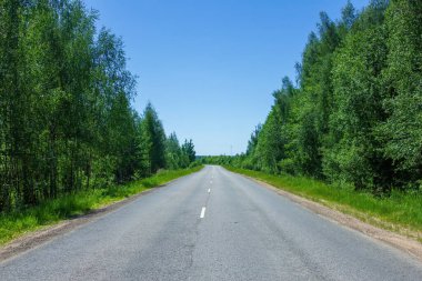 Kırsal bir yolda yaz manzarası