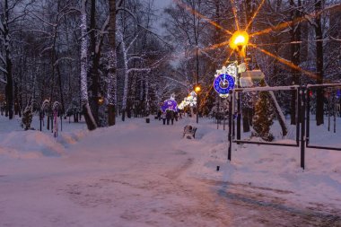 Parkta şenlikli bir akşam