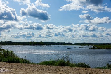Şehrin dışındaki bir nehirde bulutlu bir orman manzarası.