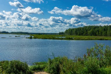 Göl üzerinde orman ve mavi gökyüzü olan renkli bir manzara.