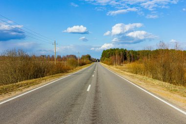 Orman alanlarında kırsal bir yolu olan manzara .