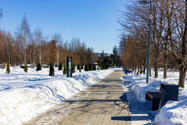 Paisagem Inverno Parque — Fotografia de Stock