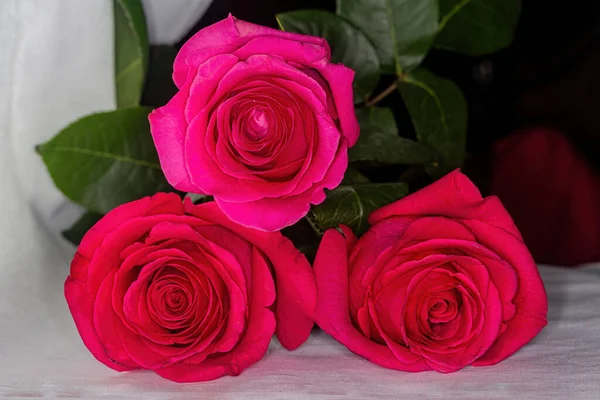 Букет Розовых Роз Белом Фоне — стоковое фото
