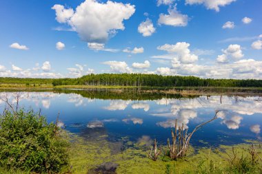 Gölün üzerindeki yaz manzarası Bulutlu mavi gökyüzü.