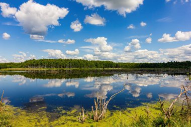  Gölün üzerindeki yaz manzarası.