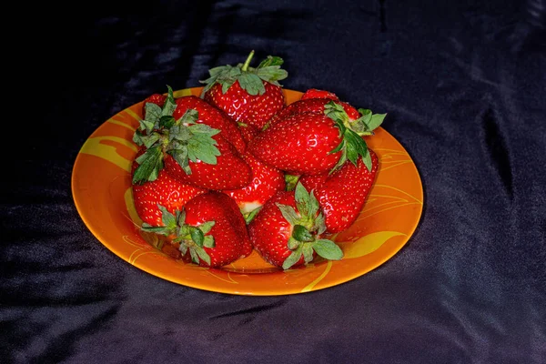 딸기의 — 스톡 사진