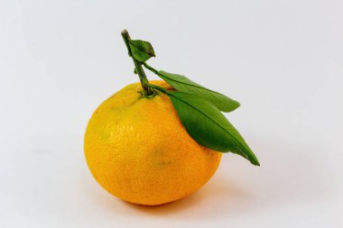 Beyaz arka planda yaprakları olan mandalina.