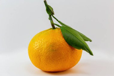 Beyaz arkaplanda yaprakları yakın çekim ile mandalina.