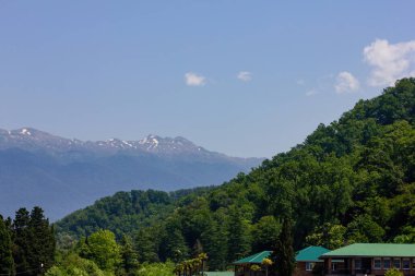 Denizden karlı dağlara manzara manzarası