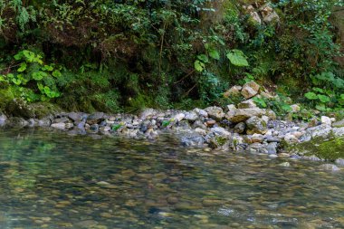 Kafkasya dağlarındaki bir nehirde temiz su.