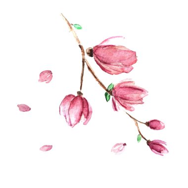 Flower spring brunch.