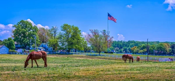 Wiejski krajobraz z Maryland koń stajnia wih amerykańską flagę — Zdjęcie stockowe