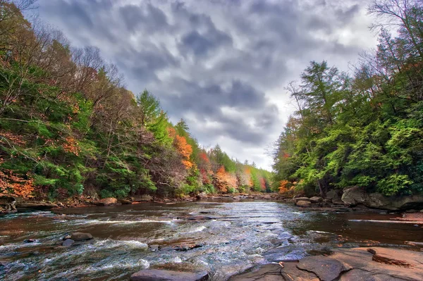 Sonbahar renkleri ışıltısı Appalachian mountain vahşi bir nehir üzerinde — Stok fotoğraf
