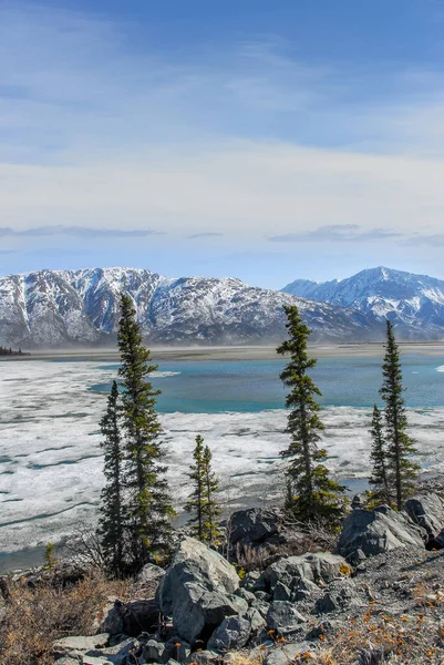 Paisagem Lago Congelado Descongelando Primavera Nas Montanhas Wrangell Alasca — Fotografia de Stock