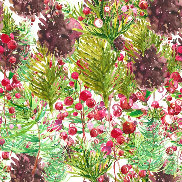 Рождественский ботанический рисунок — стоковое фото