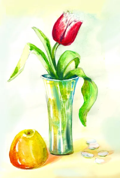 Watercolor still life painting. Tulip in vase
