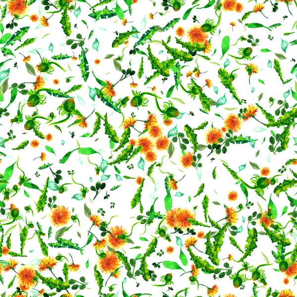 Watercolor floral seamless patterny ellow dandelions. Vintage retro summer background with wildflowers