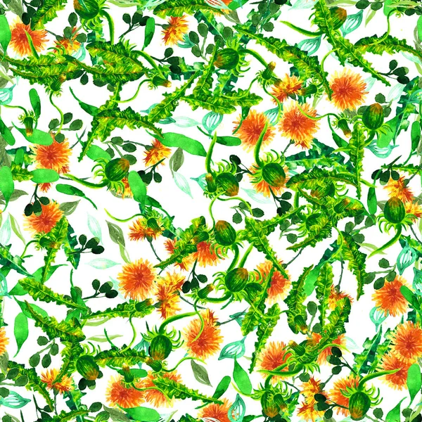 Watercolor floral seamless patterny ellow dandelions. Vintage retro summer background with wildflowers
