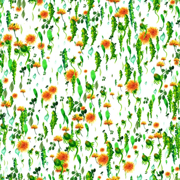Watercolor floral seamless patterny ellow dandelions. Vintage retro summer background with wildflowers