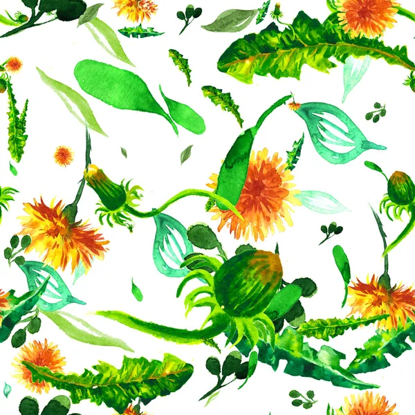 Watercolor floral seamless patterny ellow dandelions. Vintage retro summer background with wildflowers