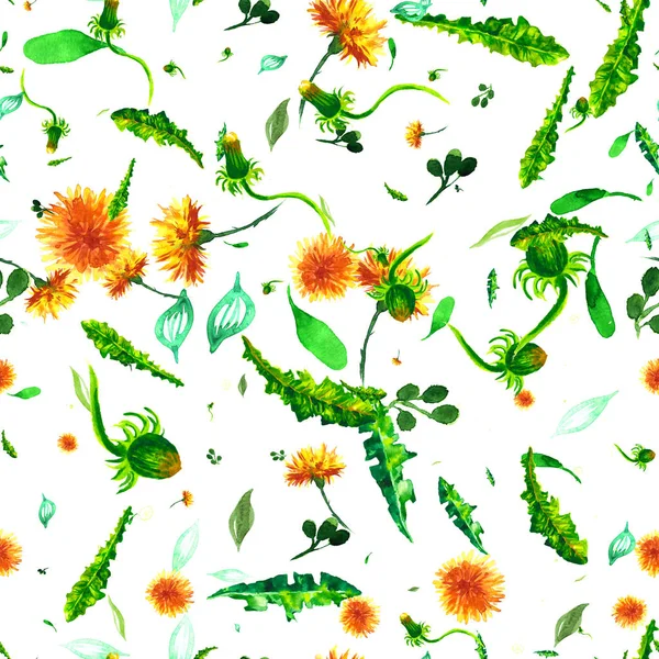 Watercolor floral seamless patterny ellow dandelions. Vintage retro summer background with wildflowers