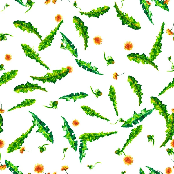 Watercolor floral seamless patterny ellow dandelions. Vintage retro summer background with wildflowers