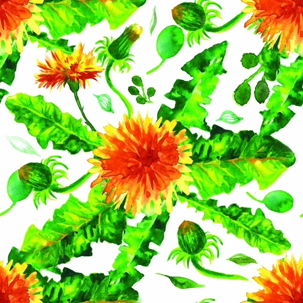 Watercolor floral seamless patterny ellow dandelions. Vintage retro summer background with wildflowers