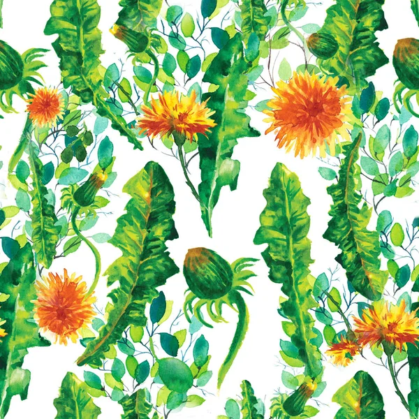 Watercolor floral seamless patterny ellow dandelions. Vintage retro summer background with wildflowers