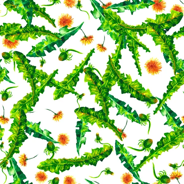 Watercolor floral seamless patterny ellow dandelions. Vintage retro summer background with wildflowers