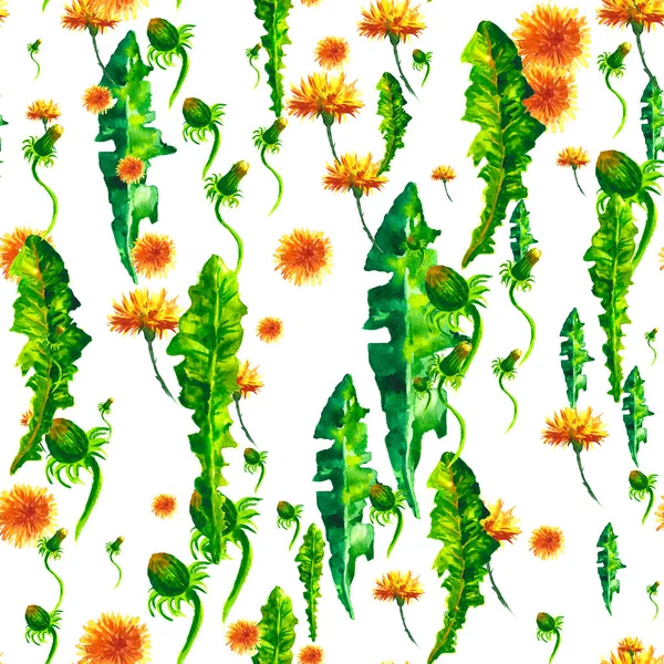 Watercolor floral seamless patterny ellow dandelions. Vintage retro summer background with wildflowers