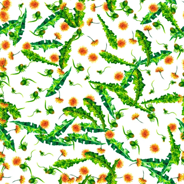 Watercolor floral seamless patterny ellow dandelions. Vintage retro summer background with wildflowers