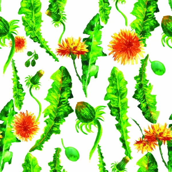 Watercolor floral seamless patterny ellow dandelions. Vintage retro summer background with wildflowers