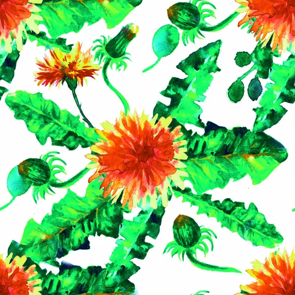 Watercolor floral seamless patterny ellow dandelions. Vintage retro summer background with wildflowers