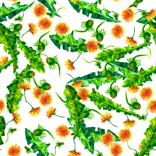 Watercolor floral seamless patterny ellow dandelions. Vintage retro summer background with wildflowers
