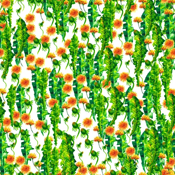 Watercolor floral seamless patterny ellow dandelions. Vintage retro summer background with wildflowers