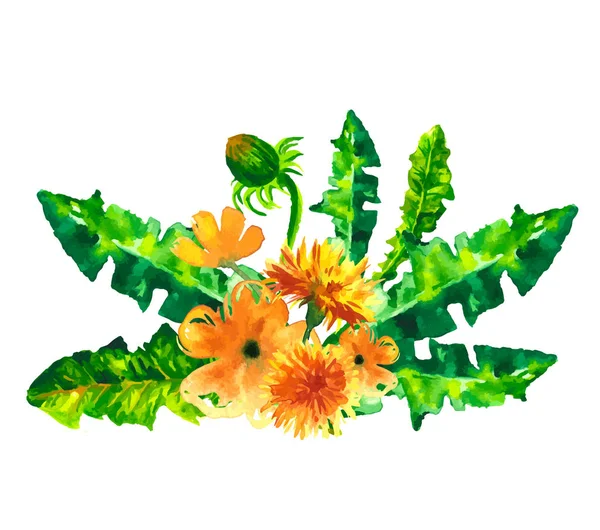 Vector Flowers Dandelions watercolor illustration. Manual composition. Mother s Day, wedding, birthday, Easter, Valentine s Day. Spring. Summer.