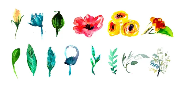 Conjunto floral vectorial. Colección con hojas. Diseño de pring o verano para i — Archivo Imágenes Vectoriales