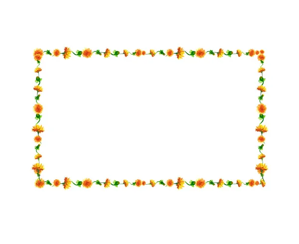 Aquarel paardebloem bloemen, bloesems rechthoekig frame isoleren — Stockvector