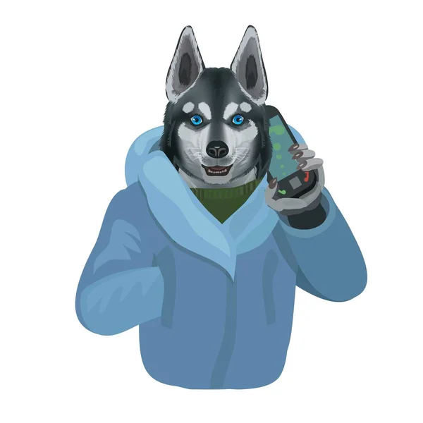 Bir cep telefonuyla konuşurken husky köpek