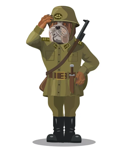 Asker köpek bulldog