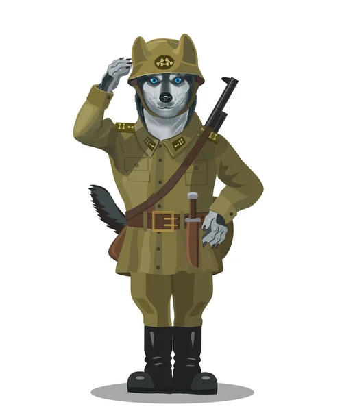 Köpek askerler Husky