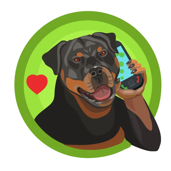 Rottweiler köpeği safkandır. Telefonla arar. Evinizin ve evinizin koruyucusu ve dostu olarak sevilir ve takdir edilir.