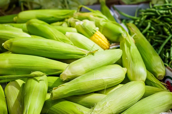 Sweet corn ears in the local farmers vegetable market
