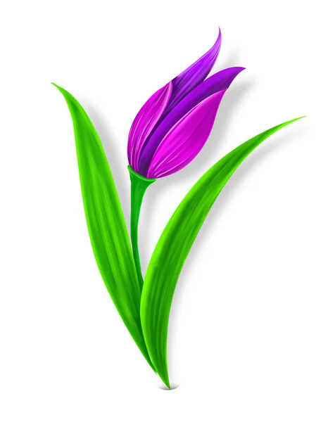 Ottoman Tulip Motif — Stock Photo, Image