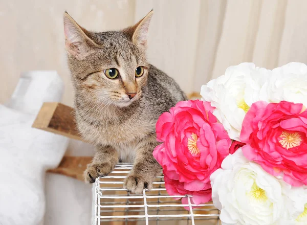 Cat on a bird cage with a bunch of flowers
