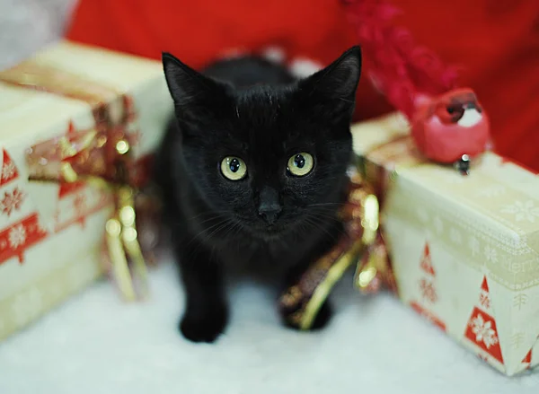 Gato negro entre los regalos de Navidad. La atmósfera del Año Nuevo — Foto de Stock