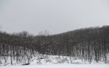 Tek renkli gri kış manzarası