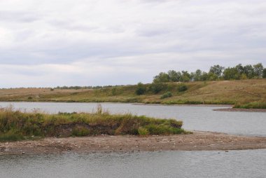 Nehir kenarındaki bitkiler