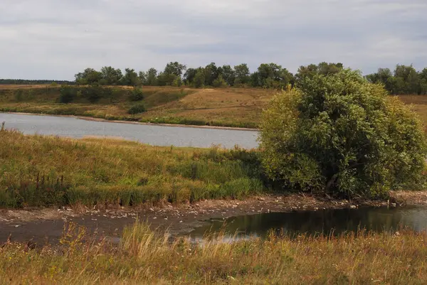 Warme landschap rivier bank. Zon op een bewolkte dag. Eenzame boom — Stockfoto