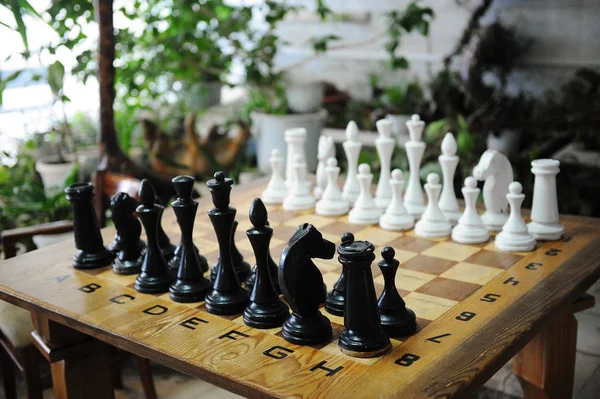 Шахматный стол с большими шахматными фигурами на фоне теплицы — стоковое фото